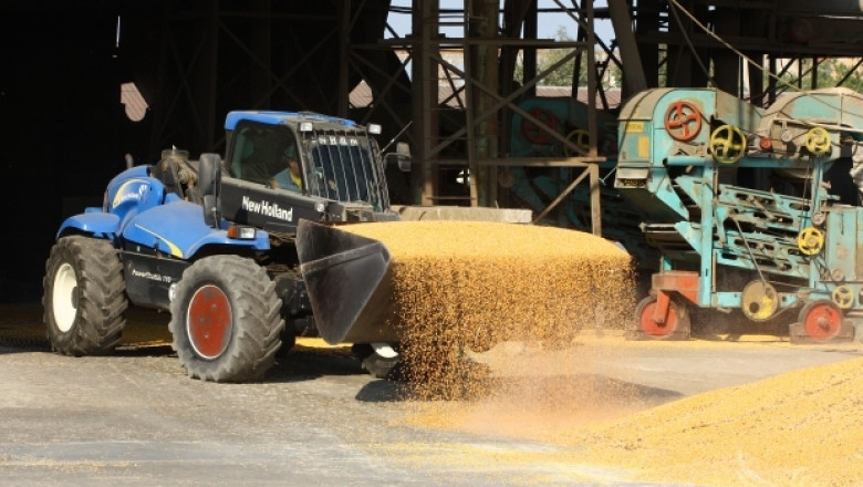 Зърнена реколта 2014: До 750 кг/дка царевица жънат в Ловешко