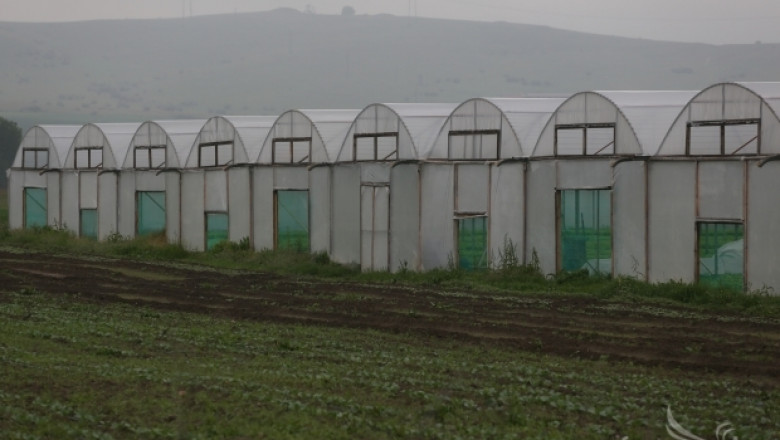 Иновативна еко оранжерия с минерална вода строят в Южна България