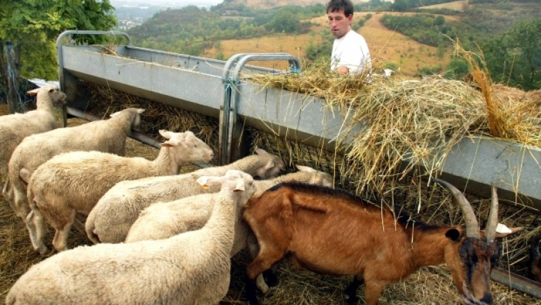 България без инициативи в международната година на семейните ферми