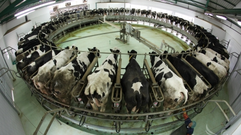 Брюксел глоби осем държави за свръхпроизводство на краве мляко