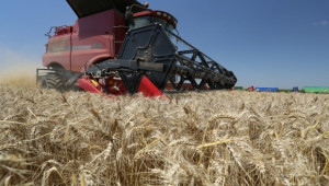 Турция отново купува 200 хил. тона хлебна пшеница - Agri.bg
