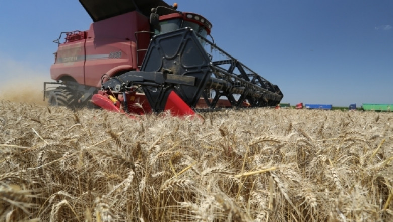 Турция отново купува 200 хил. тона хлебна пшеница