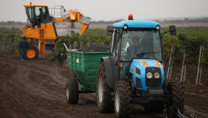 Официално след публикация във Фермер.БГ: България внася грозде от Гърция  - Agri.bg