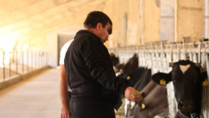 Фермери разпродават стопанствата си след "устойчивата" политика в сектора - Agri.bg