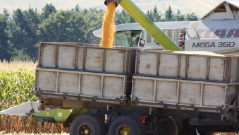 Фермерите продават царевица от реколта 2014 на цена 220 лв./тон