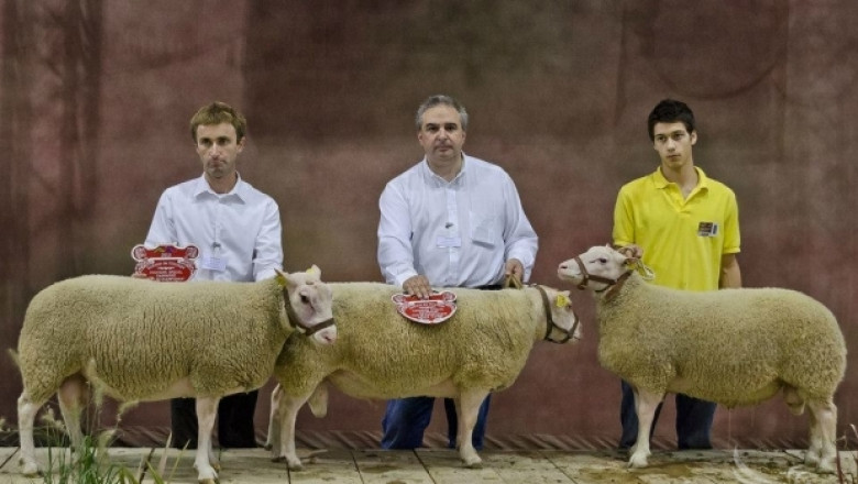 Двама българи ще участват в Олимпиада по овцевъдство във Франция