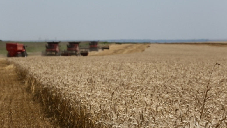 Катар купува 40 000 тона европейска пшеница