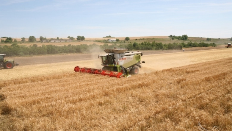 Пшеницата от реколта 2014 е с ниско качество и ниски добиви