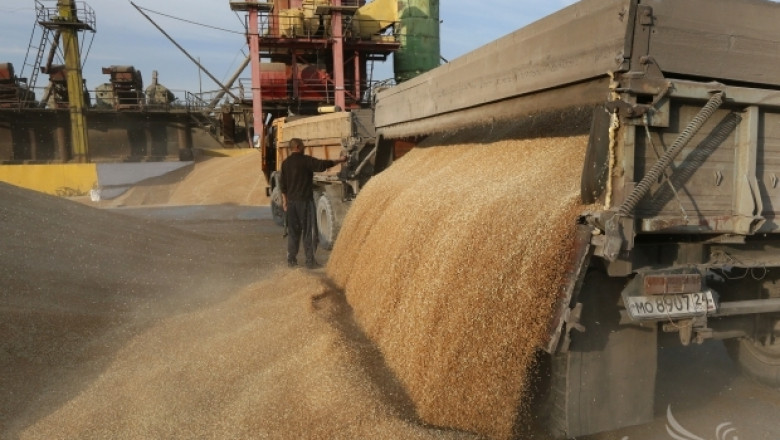 Изкупната цена на пшеницата остава ниска