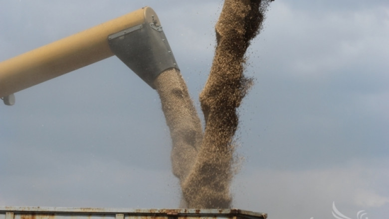Ценови срив на пшеницата замрaзи търговията със зърно в страната