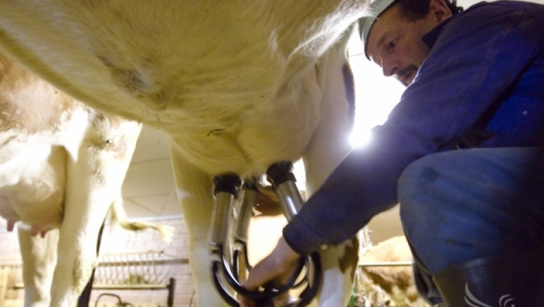 Европейски фермери искат ефективна политика за сектора след края на млечните квоти 