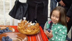 Български фестивал на сливата подготвят в Троян (ПРОГРАМА) - Agri.bg