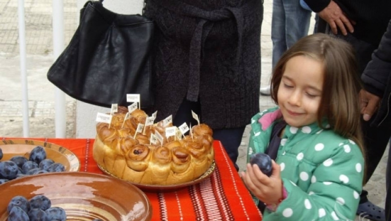 Български фестивал на сливата подготвят в Троян (ПРОГРАМА)