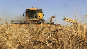 Зърнен пазар 2014: Саудитска Арабия купи 610 000 т. твърда пшеница  - Agri.bg