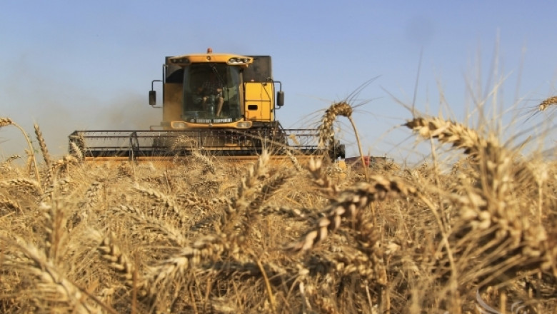 Зърнен пазар 2014: Саудитска Арабия купи 610 000 т. твърда пшеница 