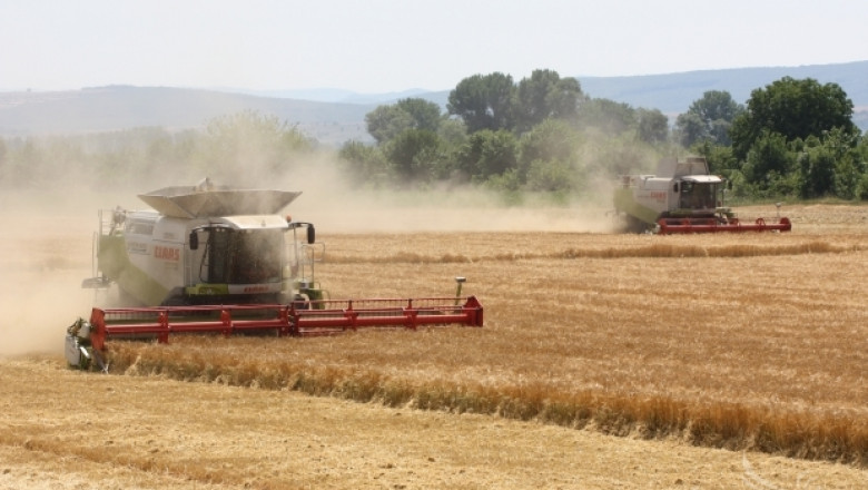 Световните цени на зърното спадат до 4-годишно дъно