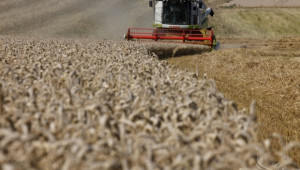 Зърнен пазар 2014: Украйна с над 40% ръст в износа на зърно! - Agri.bg