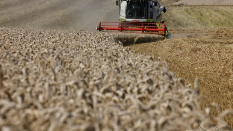 Зърнен пазар 2014: Украйна с над 40% ръст в износа на зърно!