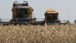 Русия отново рекордьор в износа на зърно! - Agri.bg
