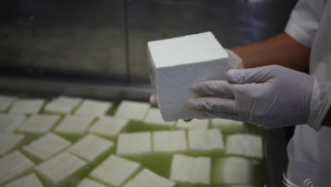ДФЗ започва прием по схема за складиране на сирене, извара и кашкавал - Agri.bg