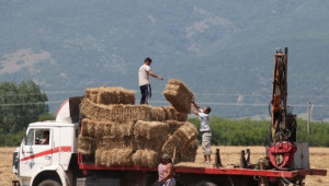 НАП иска двойни осигуровки за земеделски производители  - Agri.bg