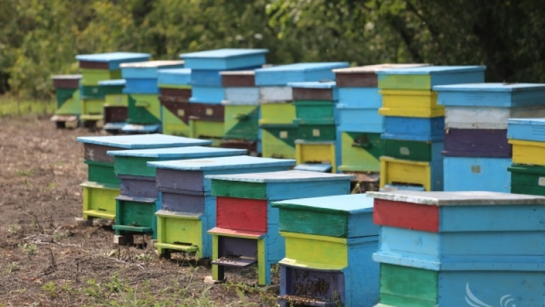 Добивите от мед – с до 50% по ниски тази година