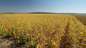 Милена Горанова: Изискването за угар в новата ОСП, рискува плодородието на земите ни  (ВИДЕО) - Agri.bg