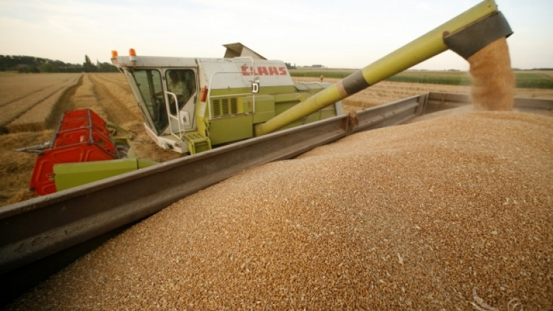 Цените на зърното са много ниски, фермерите очакват загуби (ВИДЕО)