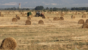 Средният добив от пшеница в Шуменско е 419 кг/дка - Agri.bg