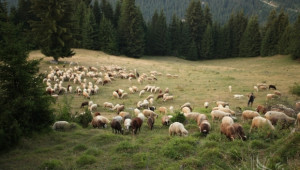 Фермерите могат да косят пасища, мери и ливади в планинските райони до 31 август 2014 (ОБНОВЕНА)  - Agri.bg
