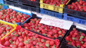 Празник на ягодата започва в село Осиково (ИНТЕРВЮ) - Agri.bg