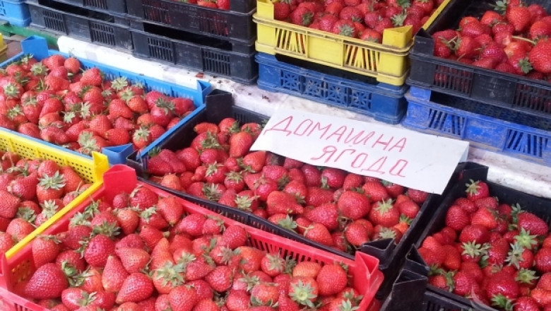 Празник на ягодата започва в село Осиково (ИНТЕРВЮ)