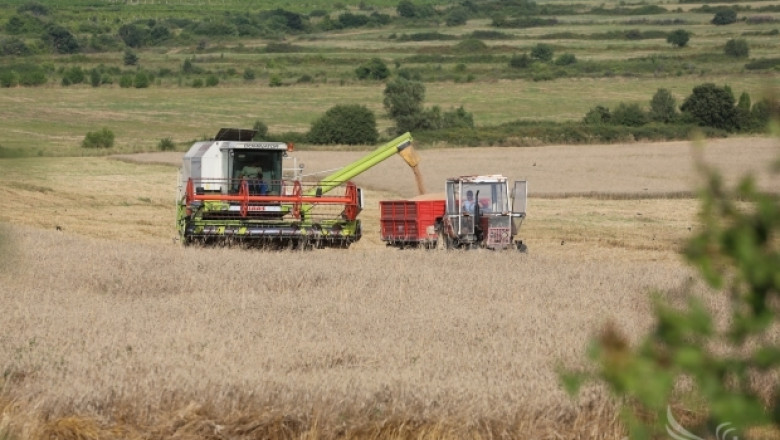 Ройтерс: България бележи спад в произвeдената пшеница!