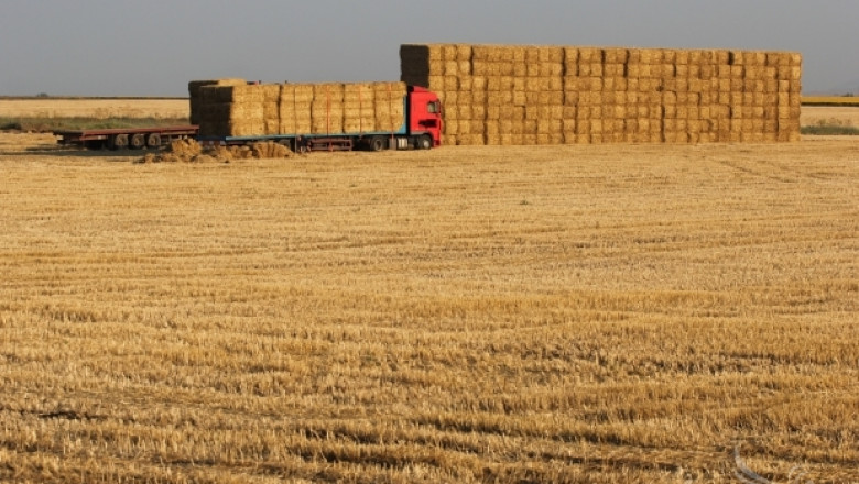 Приключва жътвата на пшеница в Ямболско