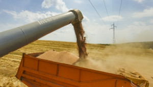 Средният добив от пшеница в област Силистра е 442 кг/дка  - Agri.bg