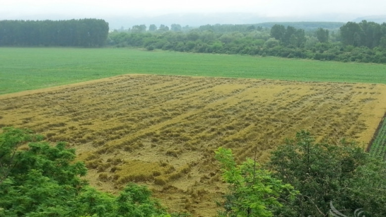 448 хектара са пропадналите площи в област Сливен