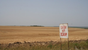 Шофьoр предизвика пожар на полето – изгоряха 100 дка пшеница и 10 дка лавандула - Agri.bg