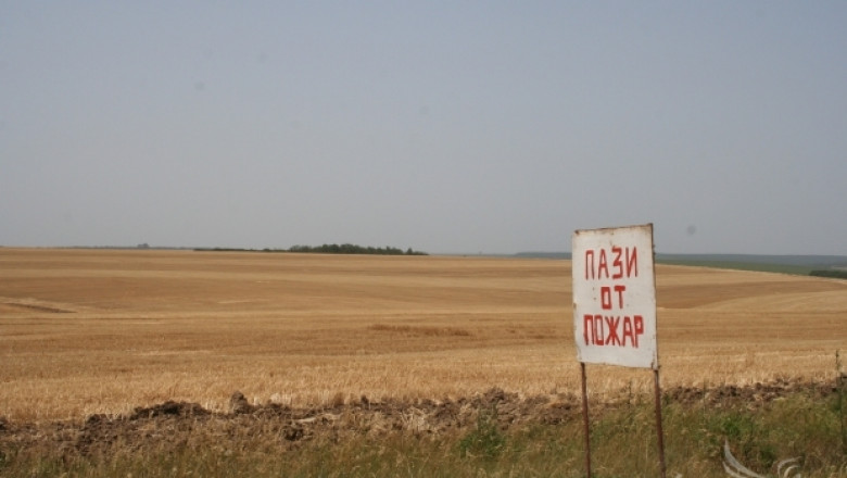 Шофьoр предизвика пожар на полето – изгоряха 100 дка пшеница и 10 дка лавандула