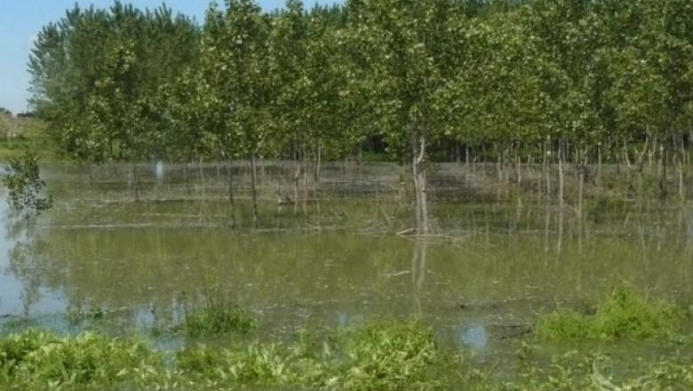 Приливната вълна в Северозападна България помете реколтата от нивите