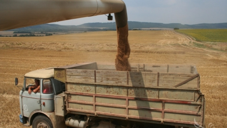 387 кг/дка е добивът от пшеница в Бургаско. Жътвата приключва
