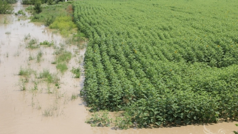 Земеделски производители от Бургаско пресмятат щетите от наводненията 