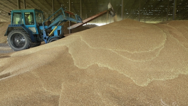 Михаил Шевкенов: Качествена пшеница се изкупува на цените на фуражна!