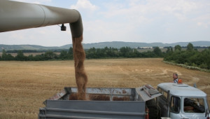 Пазар за пшеница в Монтанско все още няма. 260-270 лв/т е цената за фуражно зърно - Agri.bg
