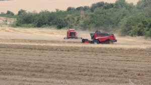 Проливни дъждове унищожават неприбраната зърнена реколта в Монтанско - Agri.bg