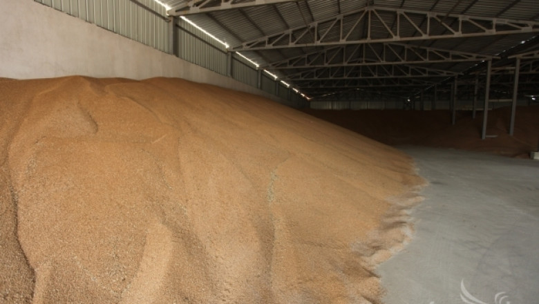 270 лв/тон пшеница във Видинско. Земеделците чакат по-добри цени