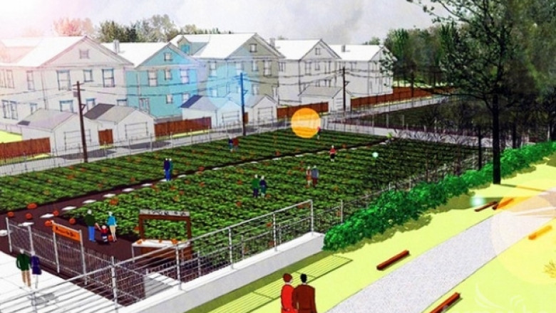 Американският мегаполис Чикаго разработва градско земеделие