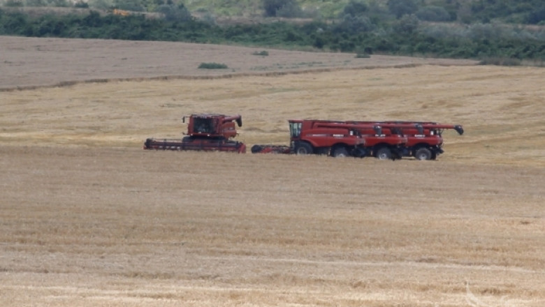 Жътвата в Северозападна България изостава. Пшеницата покълва!