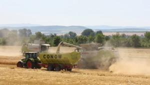 Масовата жътва на пшеница в Ямболско е преполовена - Agri.bg