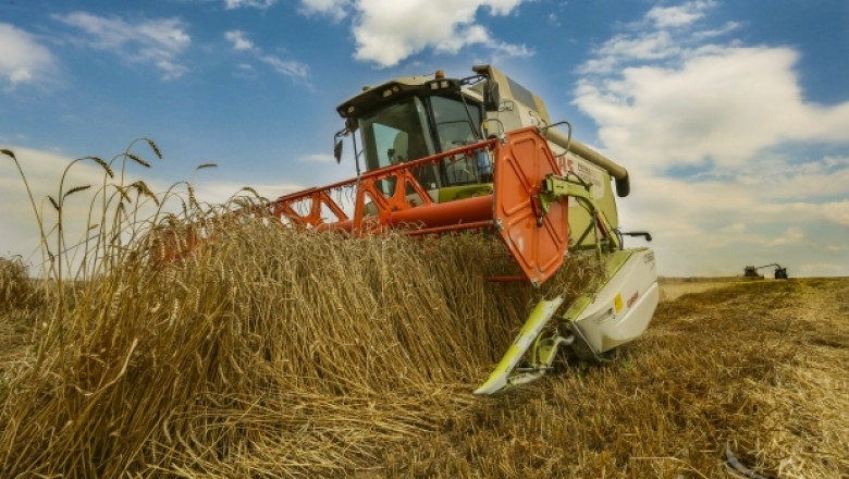 Жътва 2014: Между 300 и 600 кг/дка са добивите на пшеница в страната (ВИДЕО)