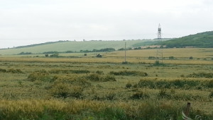 Над 200  хектара земеделски култури в област Силистра са напълно пропаднали  - Agri.bg